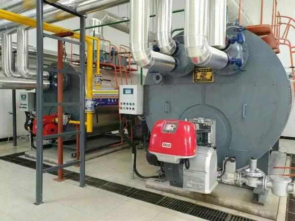 信陽(yáng)糧業(yè)2臺(tái)8噸燃?xì)饫淠仩t