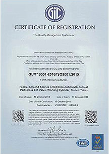 榮譽(yù)資質(zhì)